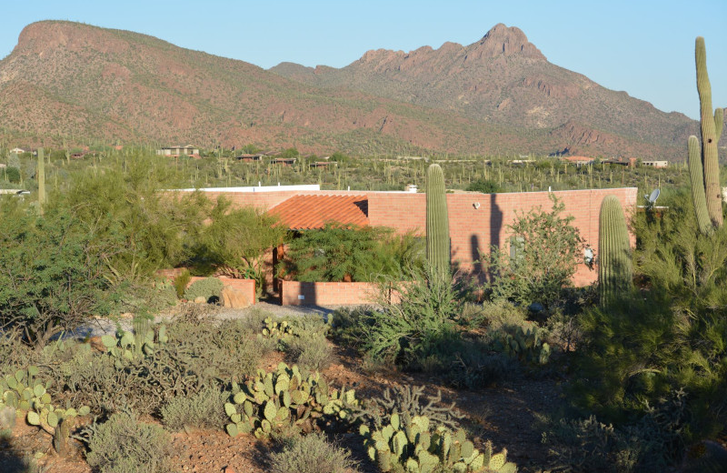 Exterior view of Rocking M Ranch.