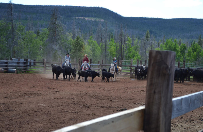 Ranch activities at Latigo Ranch