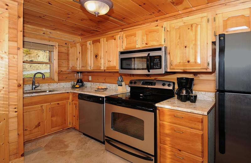 Cabin kitchen at Outrageous Cabins LLC.