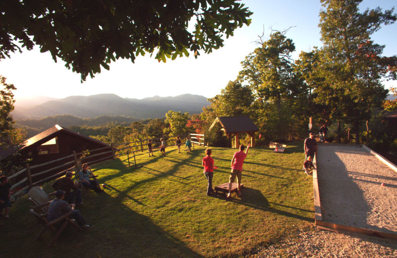 Rental yard at Watershed Cabins.