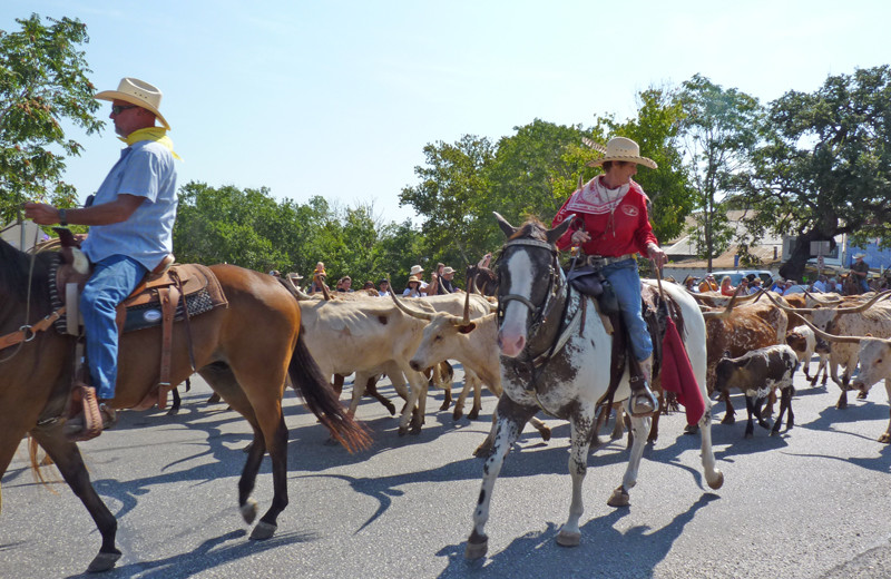 Horseback riding at West 1077 Guest Ranch.