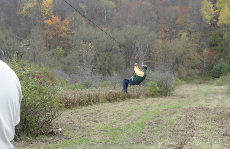 Zip line at The Woods At Bear Creek Glamping Resort.