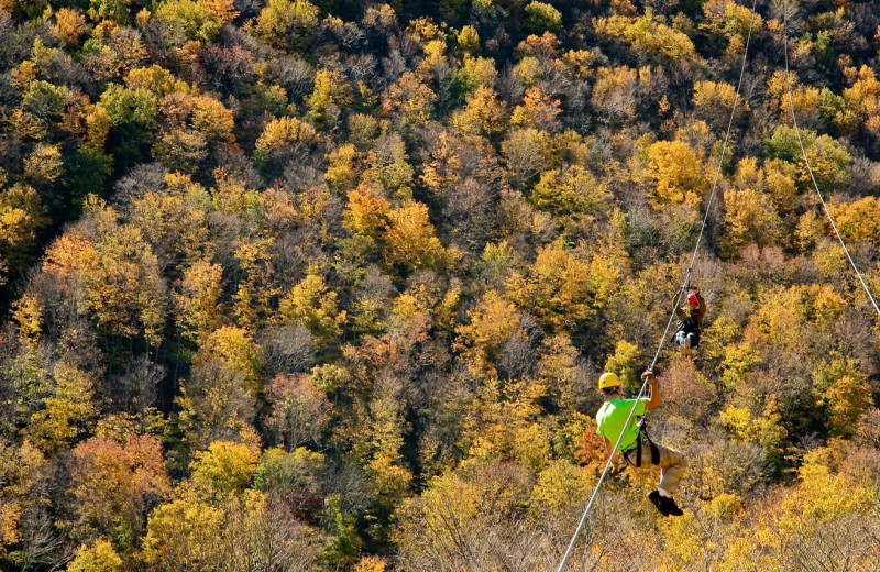 Zip line at Rabbit Hill Inn.