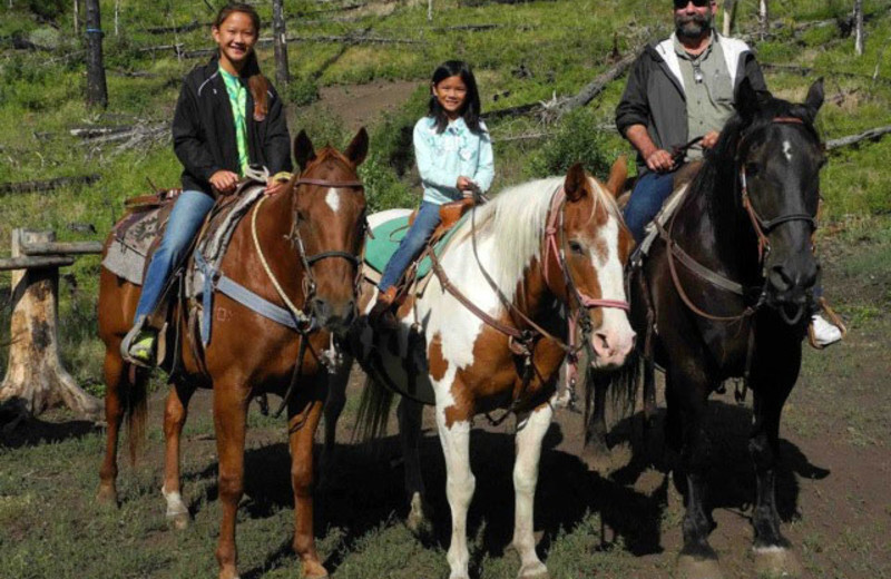 Horseback riding at Absaroka Mountain Lodge.