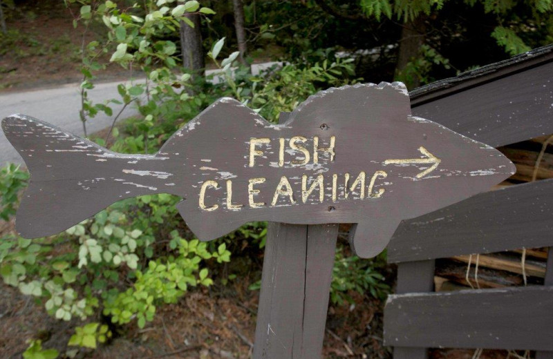 Fish cleaning at Timber Bay Lodge & Houseboats.