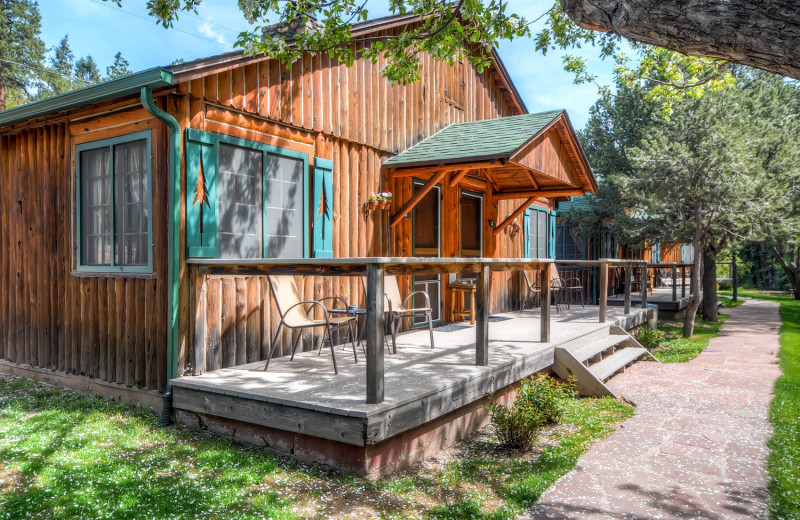 Cabin exterior at Colorado Bear Creek Cabins.