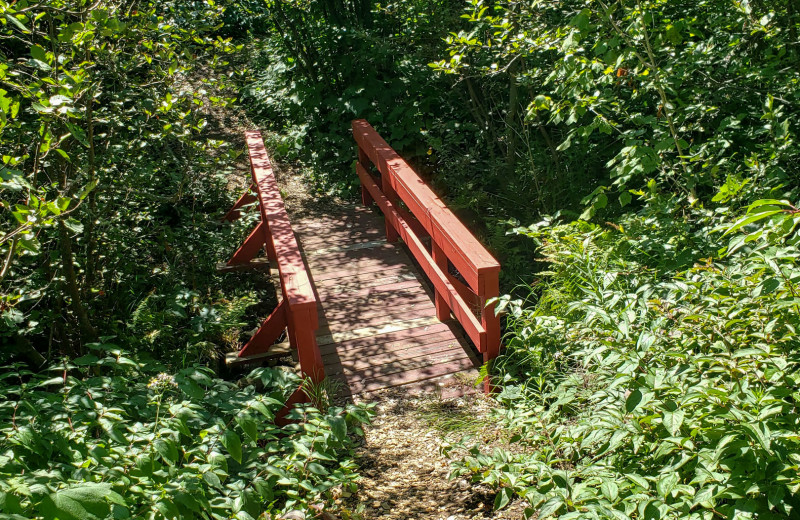 Trail at Lutsen Sea Villas.