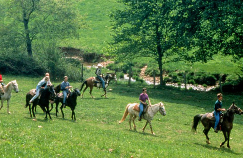 Horseback riding at Forrest Hills Resort.