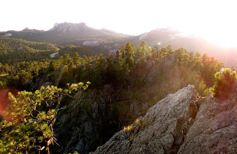 Scenic view at Rushmore Express Inn & Family Suite.