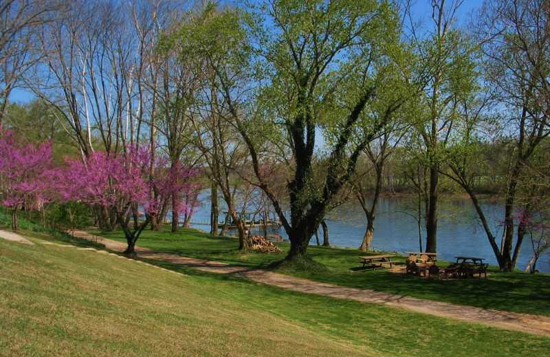 Grounds at Rainbow Drive Resort.