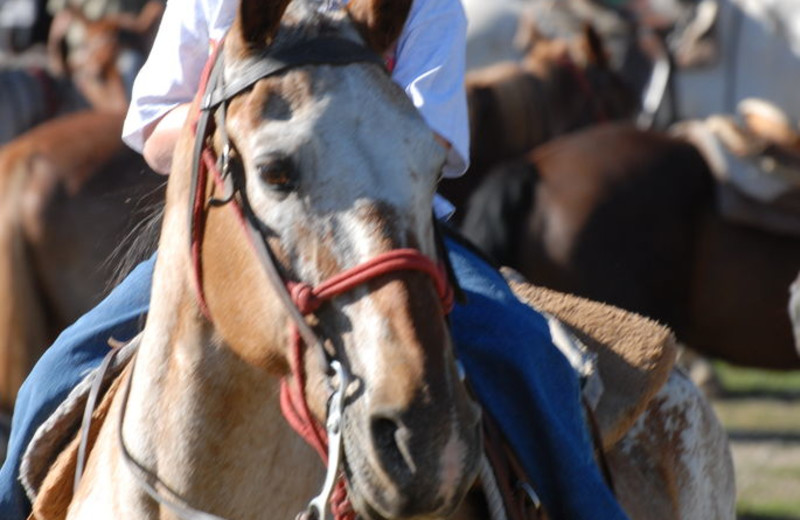 Little Cowboy at Nine Quarter Circle Ranch