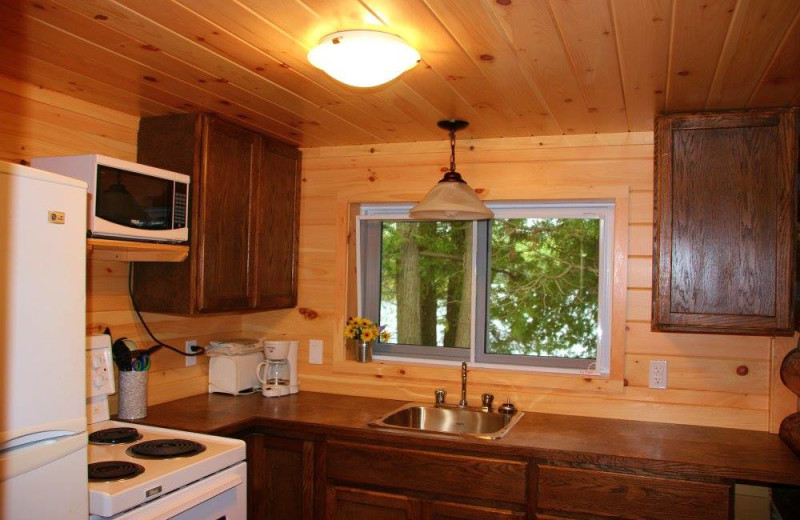 Cabin kitchen at Fernleigh Lodge.