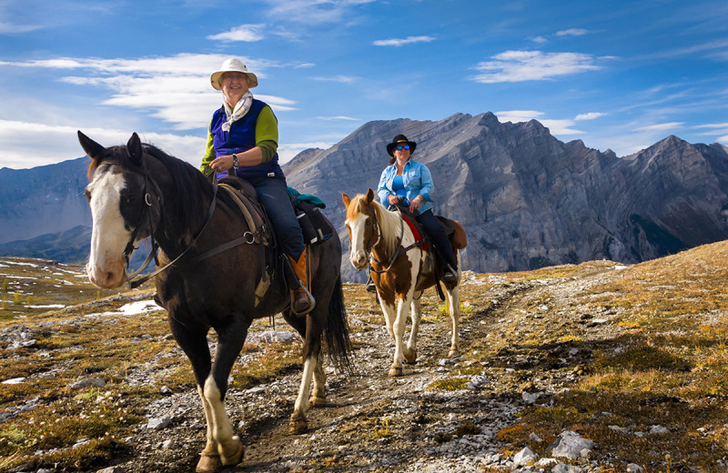 Horseback riding at Banff Trail Riders.