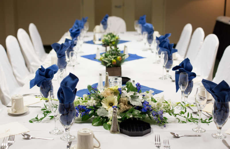 Weddings at Holiday Inn Minneapolis NW Elk River & Wild Woods Waterpark.