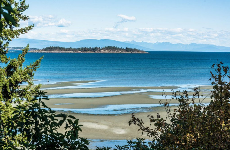 Beach at Ocean Trails Resort.