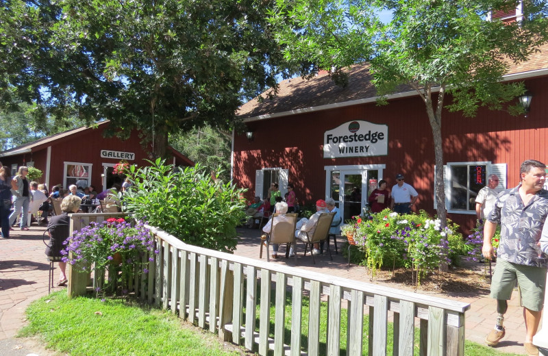 Exterior view of Forestedge Winery.