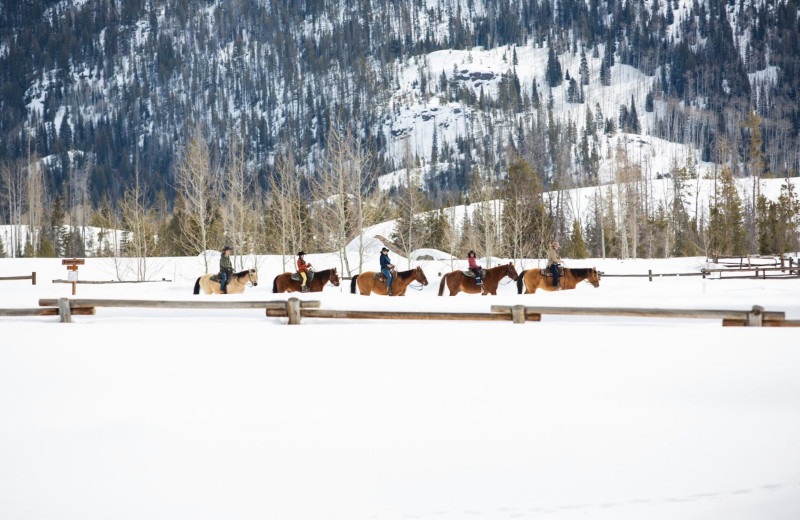 Winter trail riding at Vista Verde Ranch.