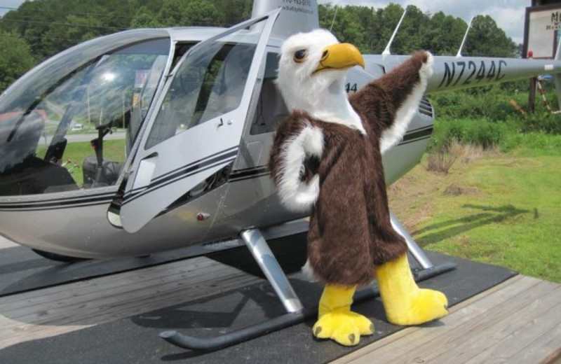 Blue Ridge Helicopter tours by Avenair Mountain Cabins.