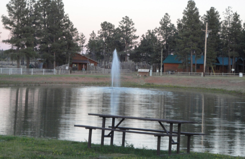 Fishing pond at Mogollon Resort Cabins.