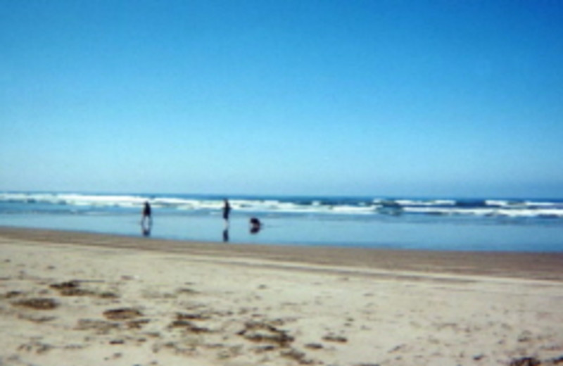 Not too crowded on our beach!