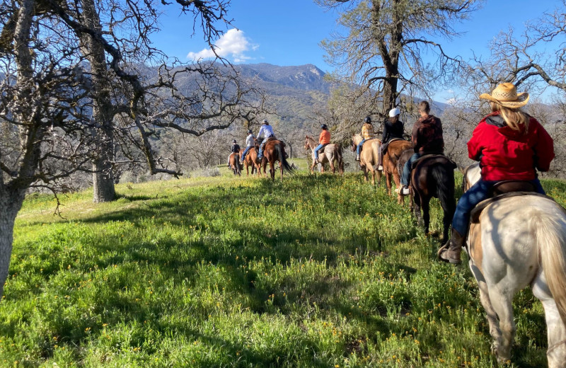 Horseback riding at Rankin Ranch.