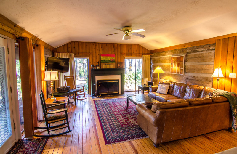 Cabin living room at Asheville Cabins of Willow Winds.