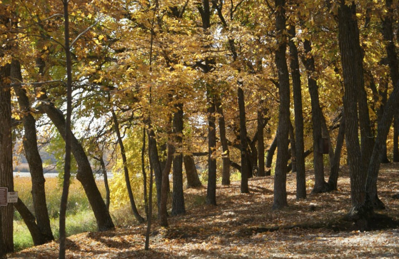 Fall at Mallard Bay Resort.