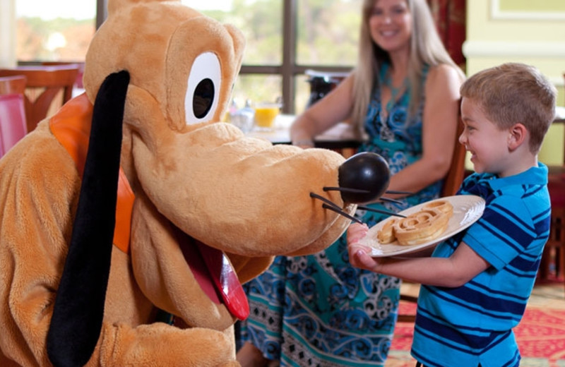 Special guests at Wyndham Lake Buena Vista.