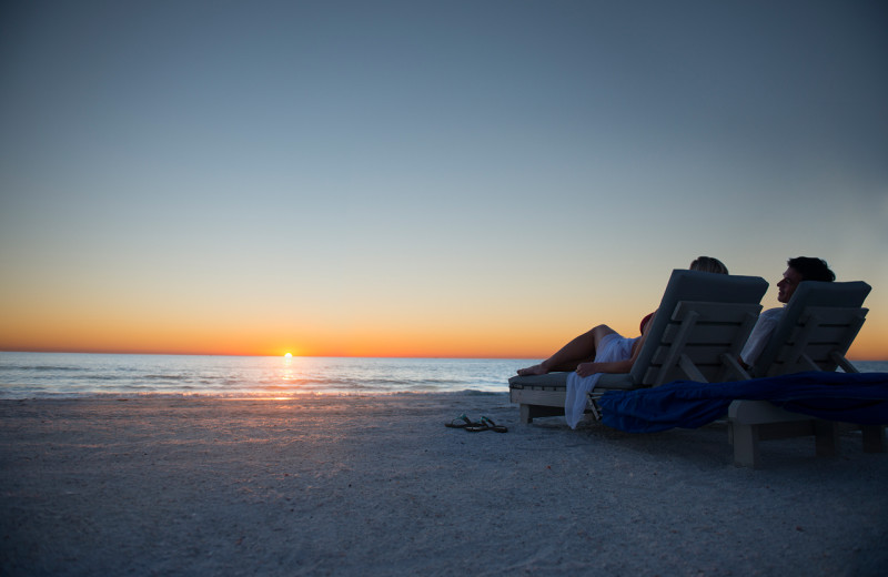 The beach at dusk at Guy Harvey Outpost.