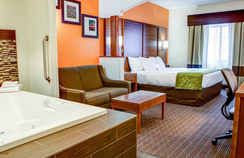 Guest room at Comfort Suites Stevensville - St. Joseph.