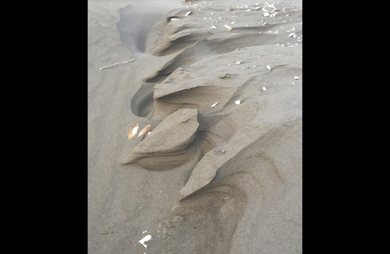 Natures sand castle at Sandpiper Beach Resort.