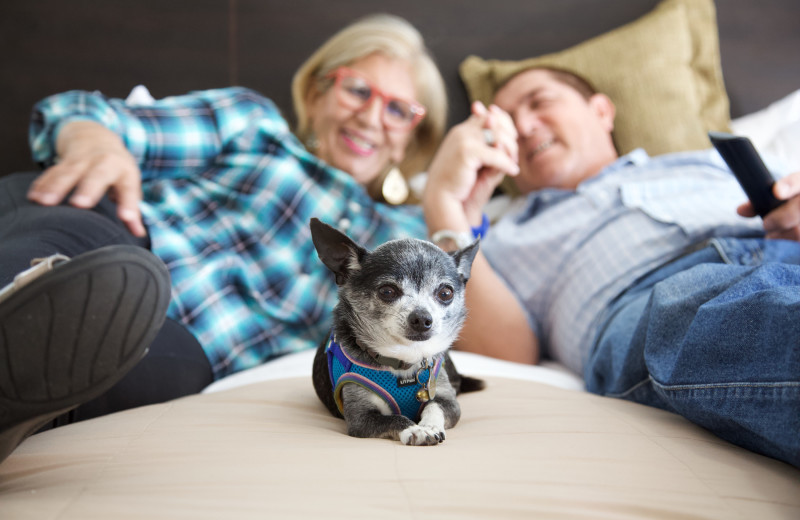 Pets welcome at Southern Oaks Inn.