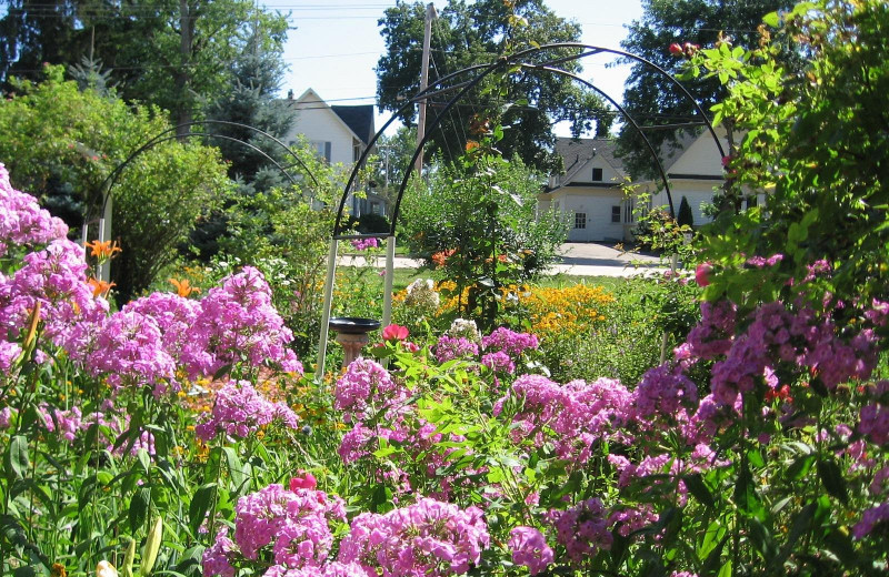 Garden at Covington Manor B 