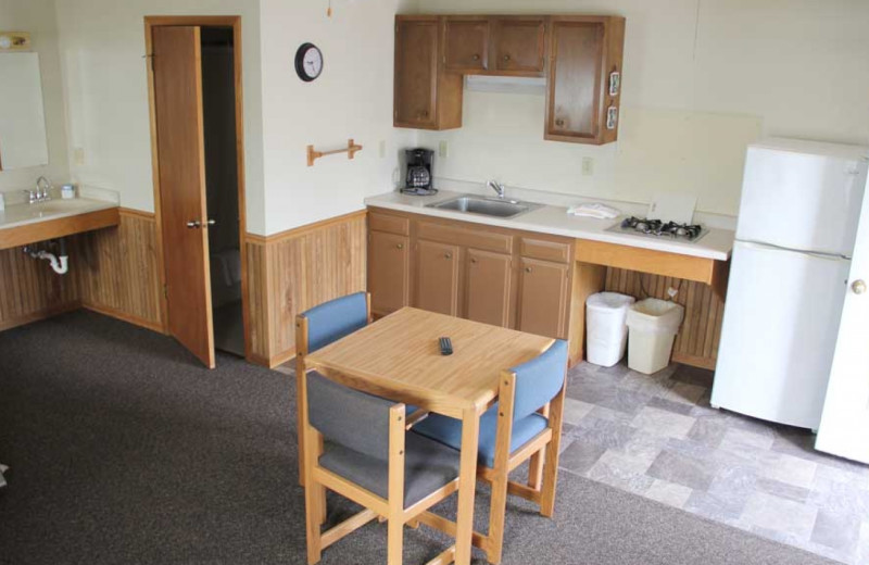 Cabin kitchen at Ballard's Resort.