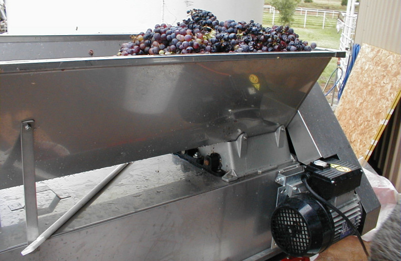 Grapes at Woods & Waters Winery Guest House.