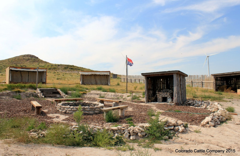 Activities at Colorado Cattle Company Ranch.