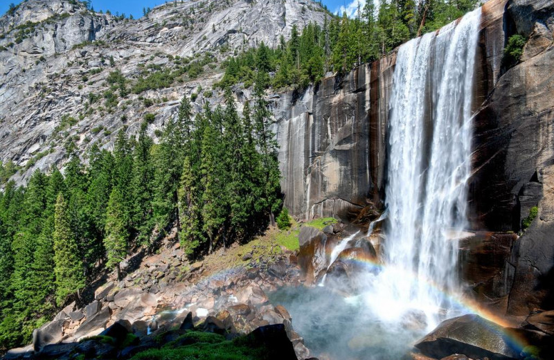 Waterfall at Yosemite's Scenic Wonders.