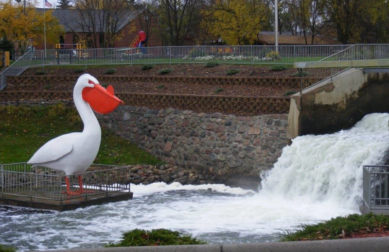 Rapids at Pelican Motel.