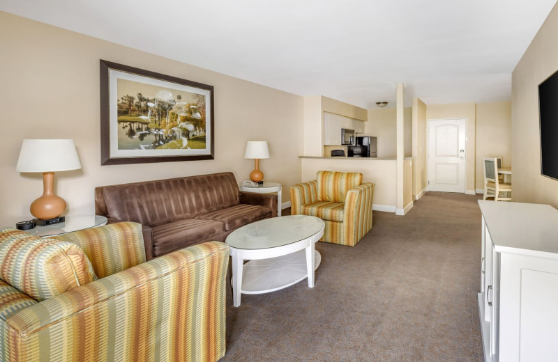 Guest room at Palm Canyon Resort 