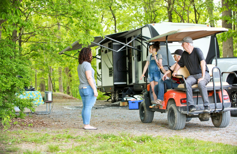 RV campground at Yogi Bear's Jellystone Park Luray.