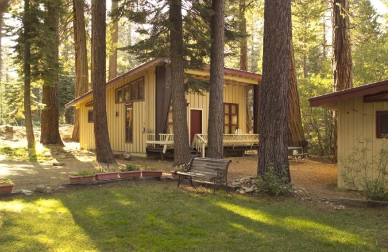 Cabin exterior view at Tahoma Lodge.