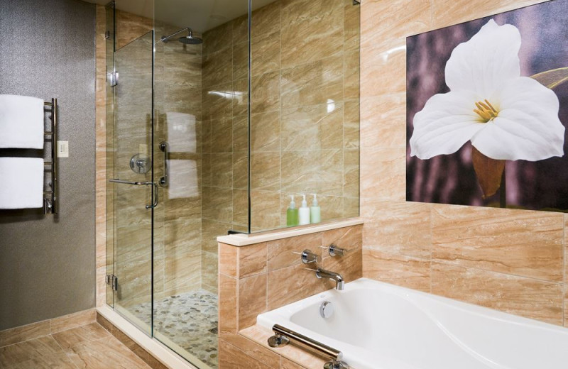 Guest bathroom at Crystal Mountain Resort.