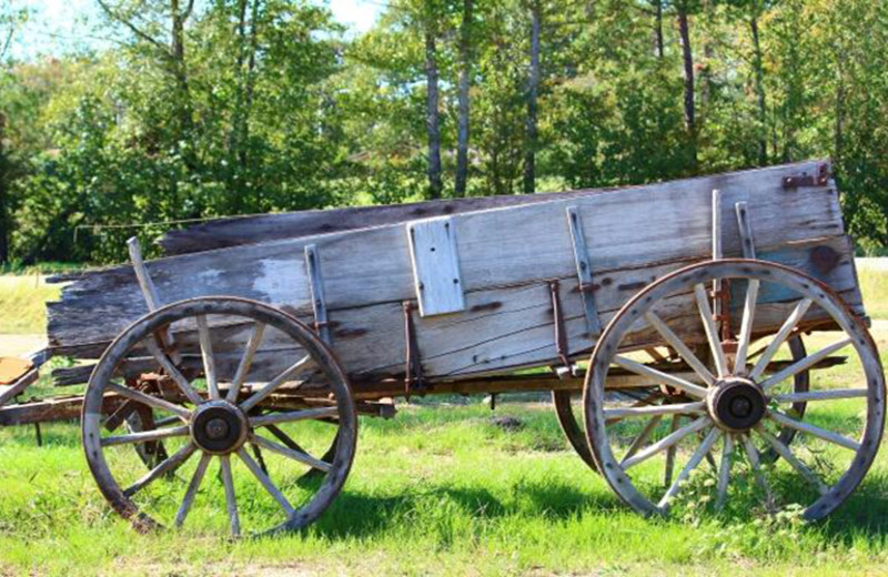 Old Wagon at Diamonds Old West Cabins 