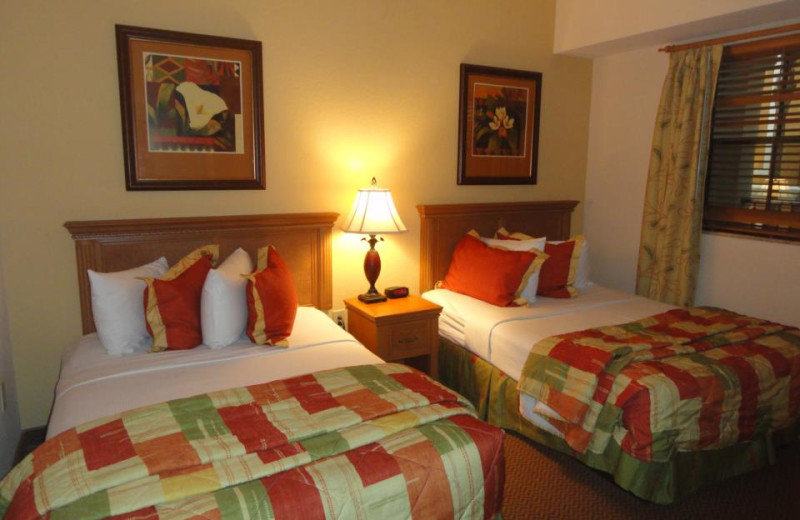 Double guest room at Floridays Resort Orlando.