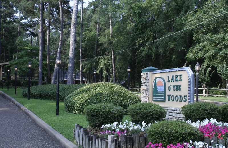 Welcome to Lake O' The Woods.