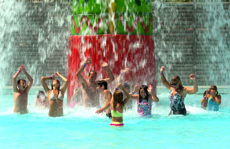 Great family water fun at Zoom Flume Water Park.