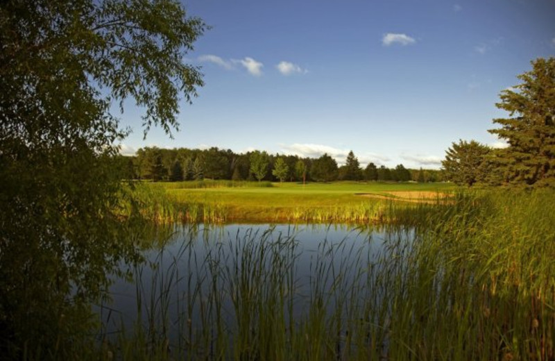 Golf course at Madden's on Gull Lake.