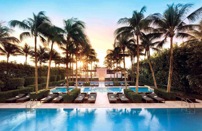 Swimming Pool at The Setai Miami Beach