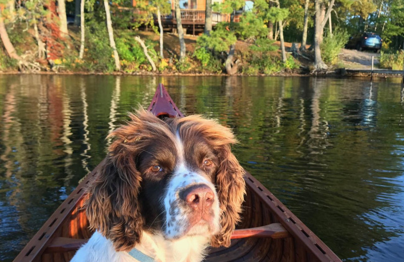 Pets welcome at Pehrson Lodge Resort.