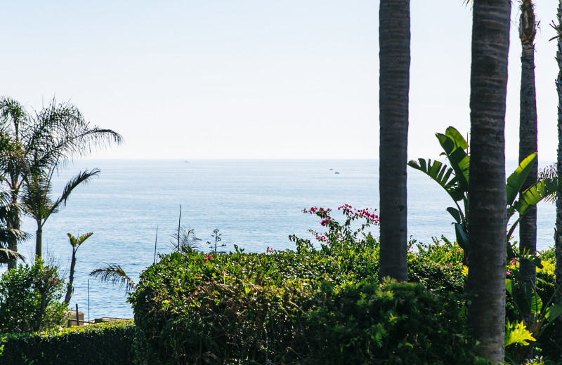 VIew at Seacliff Laguna Inn.